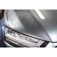 Soft99 - Authentic Premium - Pure Carnauba Wax - 200g