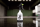 Nuke Guys - Sprayer 0,5 Liter - 360 Grad