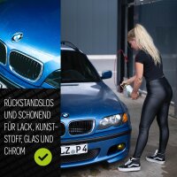 Nuke Guys Bug Swipe 1L Sprühflasche + Bug Swiper 2in1 Insektenschwamm