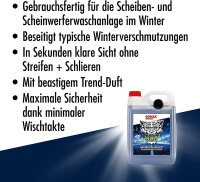 SONAX - WinterBeast Antifrost + Klarsicht - 5L mit Ausgießer