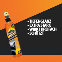 ARMORALL - Kunststoff Tiefenpfleger - glänzend