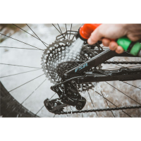 Dr.Wack F100 Chain Cleaner 300 ml