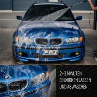 Kopie von Nuke Guys Bug Swipe, Insektenentferner, 1L