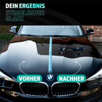 SONAX Polish&Wax schwarz Set