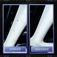 Nuke Guys - Insektenreiniger 5L Auslaufhahn + Leerflasche + Trigger