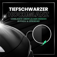 Menzerna - Black Gloss & Protect Autopolitur - 250ml