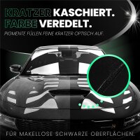 Menzerna - Black Gloss & Protect Autopolitur - 250ml